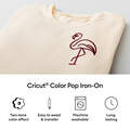 Cricut&reg; Color Pop Iron-On (12 in x 19 in)